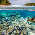 Imballaggi in plastica riciclata destinati all’oceano per il packaging Dell