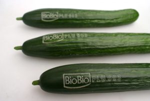Natural branding alimenti bio
