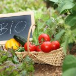 Natural branding: è bio se ha il tatuaggio sulla buccia
