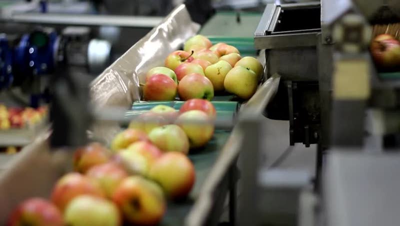 Certificazioni packaging alimentare