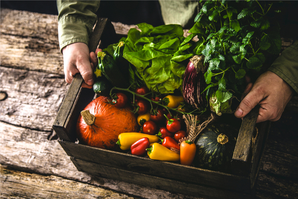 certificazioni packaging alimentare standard di produzione
