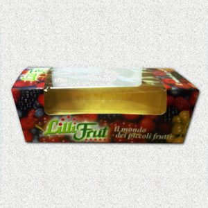 Packaging Ecocompatibile Fiat