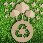 Imballaggi in cartone sostenibili: Comieco premia le innovazioni
