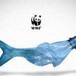 Packaging monouso in plastica: la petizione del WWF