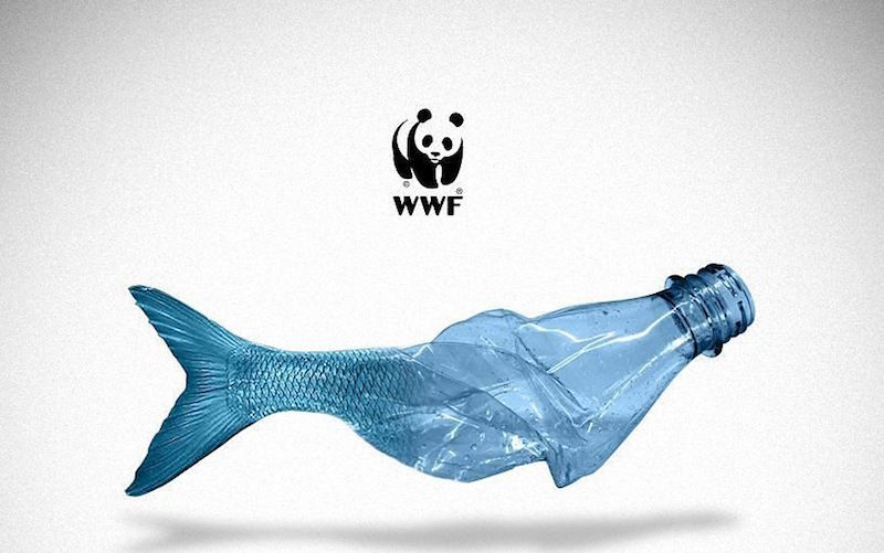 packaging monouso in plastica
