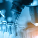 Materiali per il packaging a base di biopolimeri verdi: il nuovo progetto di ricerca