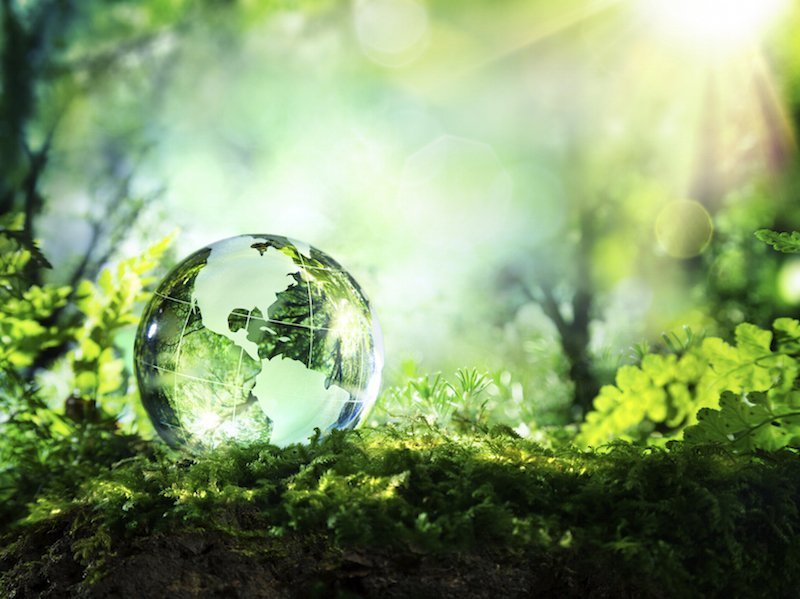 La green economy