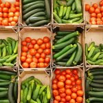 Sicurezza del packaging: il nuovo corso online di Unito e  Eit Food