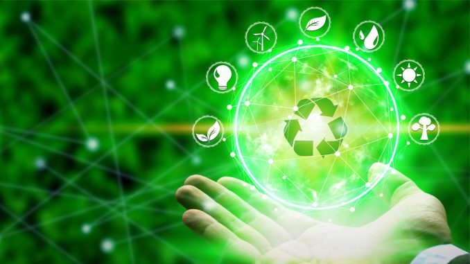 materiali green per il packaging
