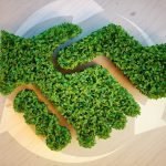 Scuola di Alta Formazione  per la Transizione Ecologica