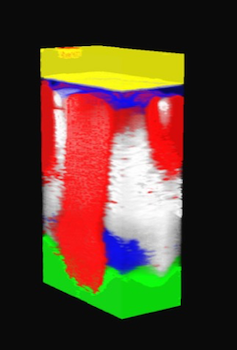 Esempio di Mappa Raman di un polimero multilayer in 3D “inquinato” da un materiale estraneo.