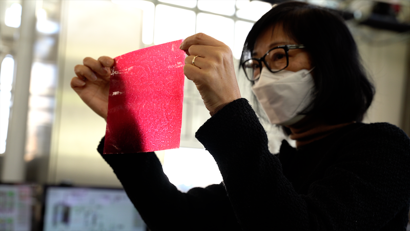 Prof.ssa Yanyun Zhao Università Oregon mette a punto nuova fibra cellulosica per il packaging