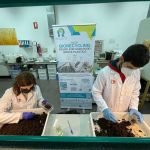 Plastiche del packaging: cibo per insetti, lombrichi e funghi