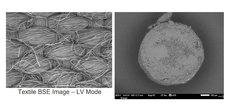 Esempio di microscopia a scansione