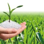 Bioplastiche compostabili: una filiera da proteggere